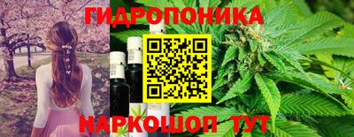 гашик Краснодар