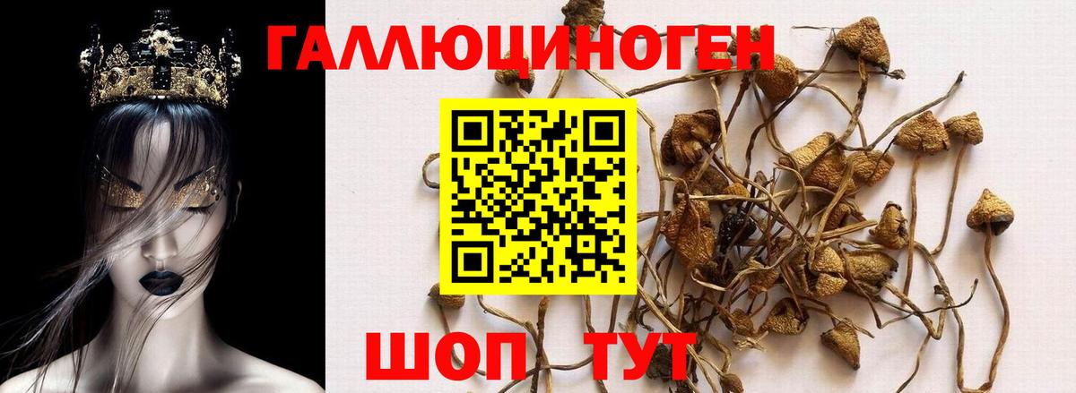 Галлюциногенные грибы MAGIC MUSHROOMS Пермь