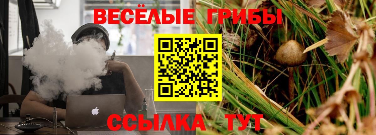 Галлюциногенные грибы Psilocybine cubensis  Вход с VPN  Псилоцибиновые грибы MAGIC MUSHROOMS  Пермь 